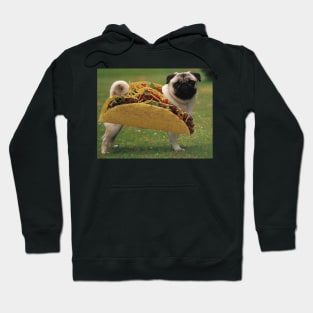 Puco Hoodie